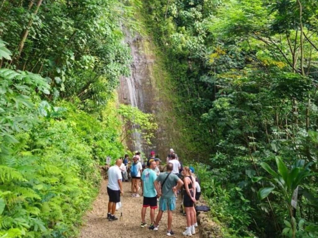 Wide rainforest trail at Manoa Falls suitable for beginner hikers in Oahu