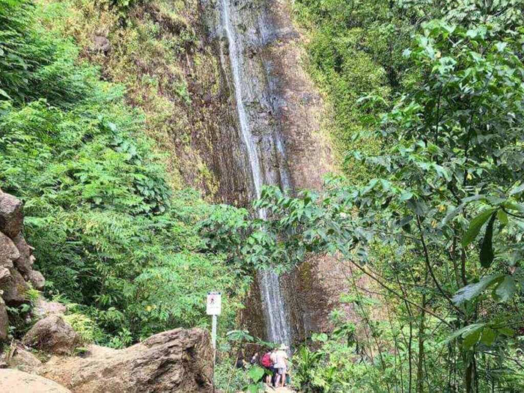 Manoa Falls located near Waikiki in Honolulu, Oahu