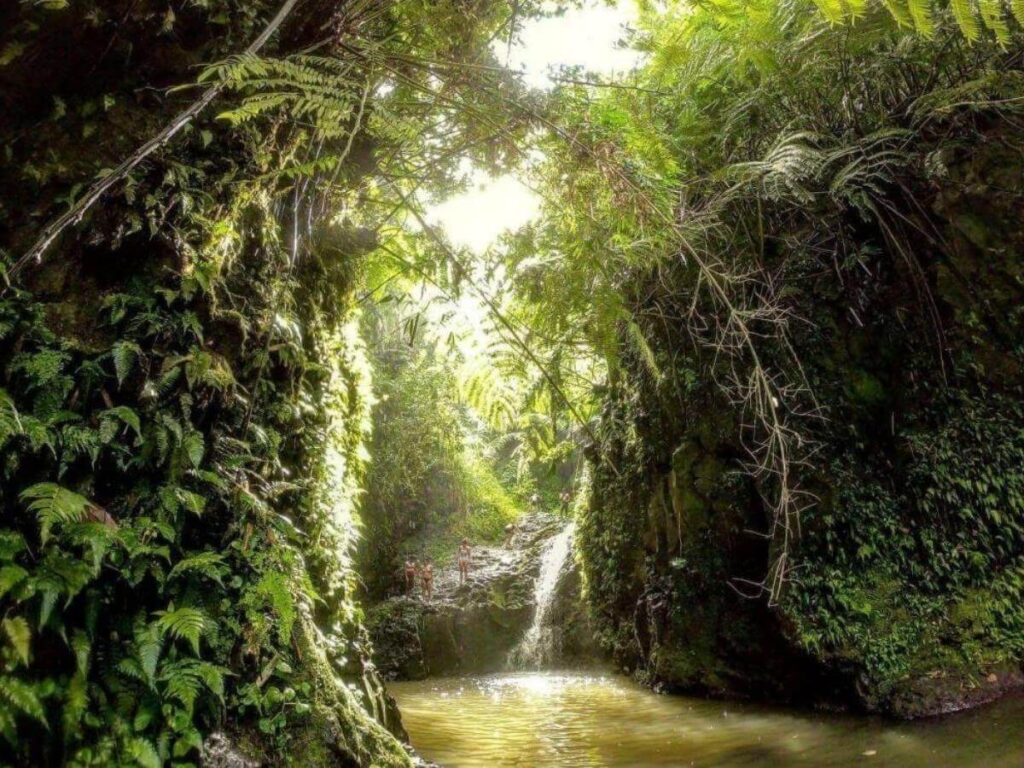 Maunawili Falls muddy jungle trail in Oahu