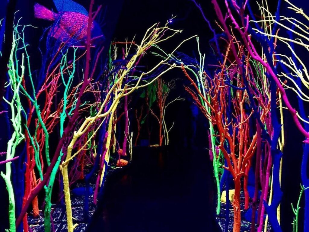 Exterior of Meow Wolf in Santa Fe