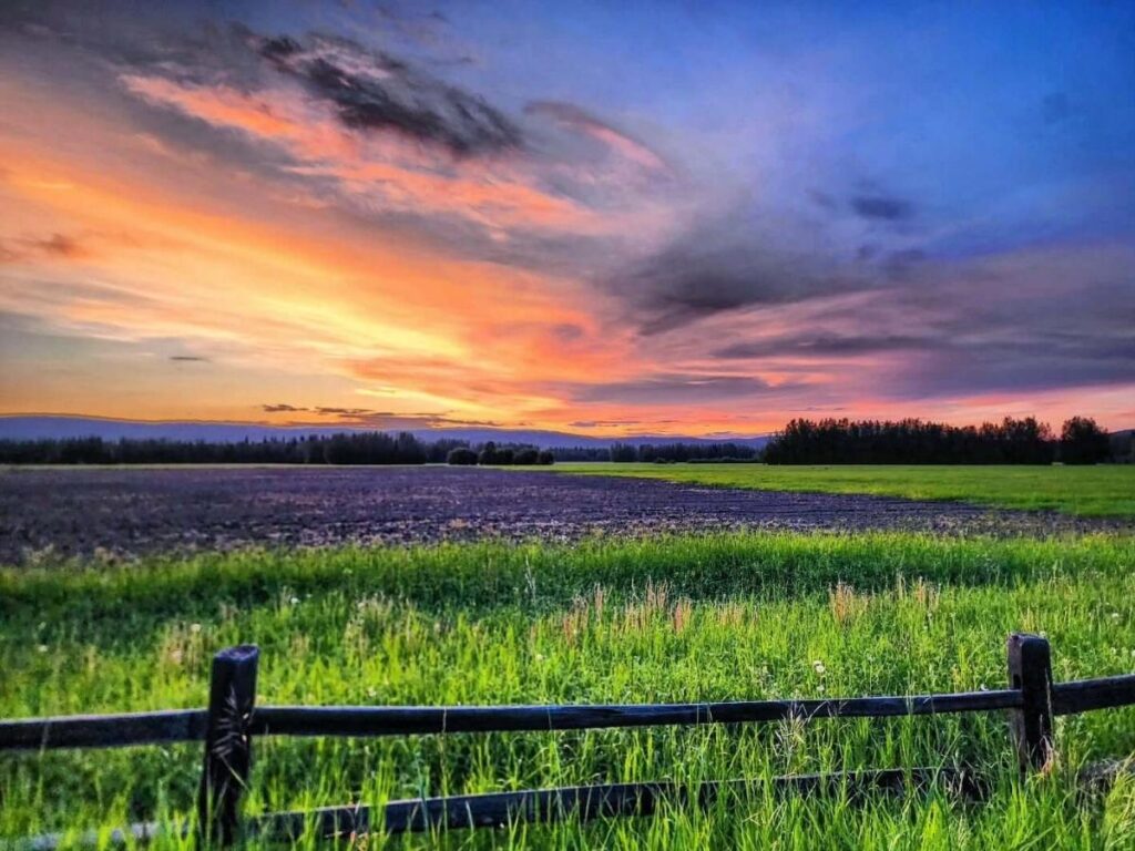 Golden midnight sun reflecting on river near Fairbanks during summer