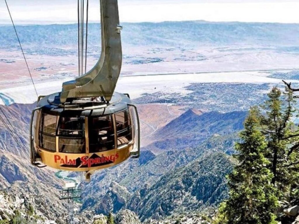 Mountain scenery and forest views near the top of the Palm Springs Aerial Tramway