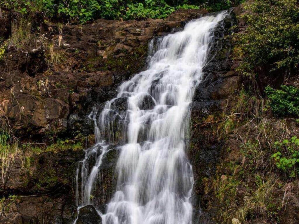 Full flowing waterfall in Oahu after heavy rain