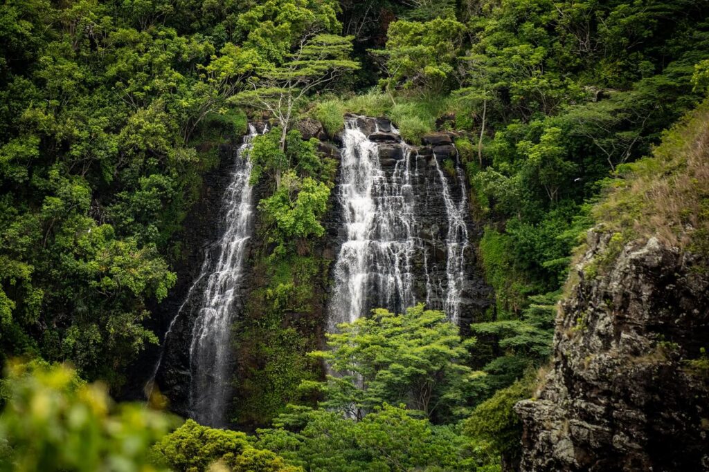 Elevated viewpoint of Opaeka’a Falls surrounded by forest