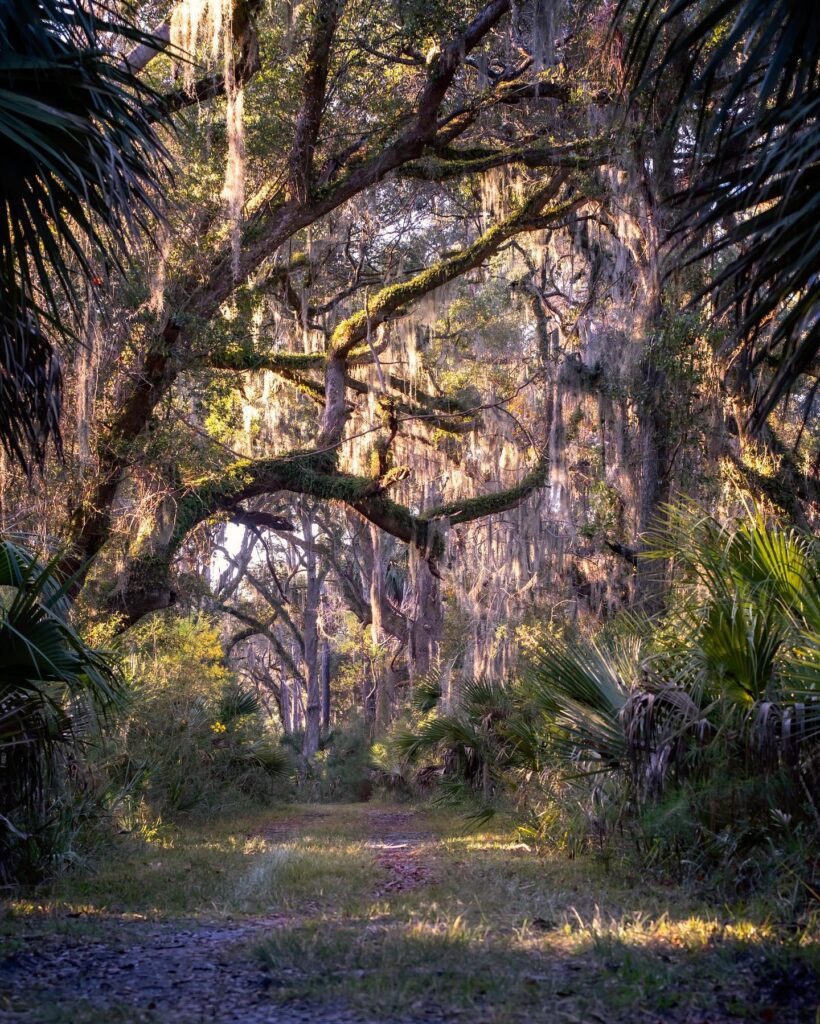 Hiking trail through open wetlands at Pinckney Island Wildlife Refuge