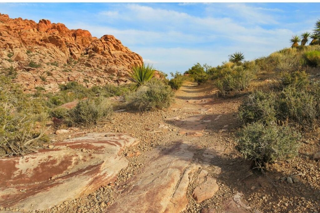 Red Rock Canyon hiking trail with sandstone peaks