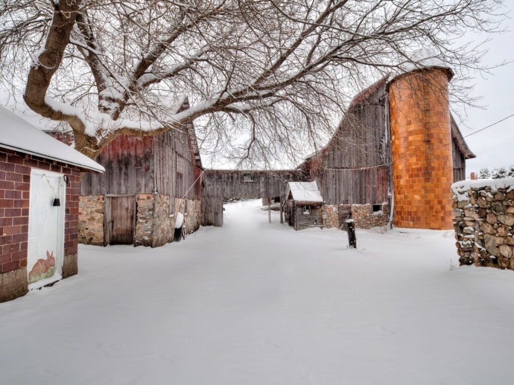 Snow-covered downtown Traverse City during winter
