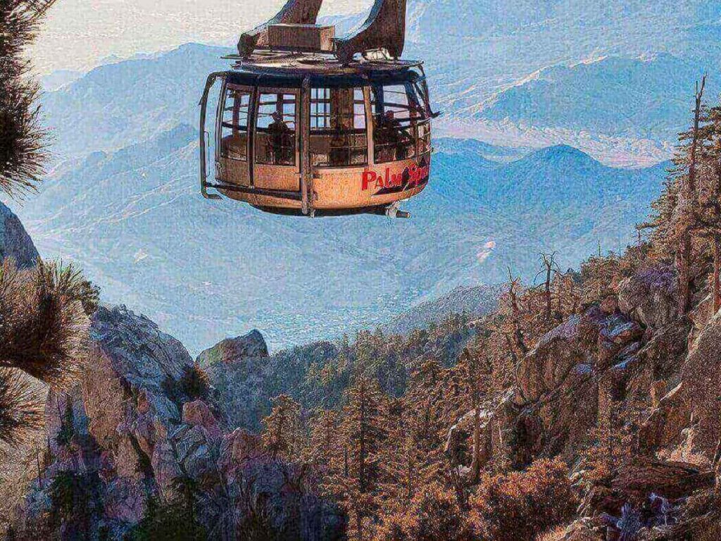 Palm Canyon trail with shaded paths and palm trees in Palm Springs