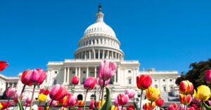 Things to do in Washington DC