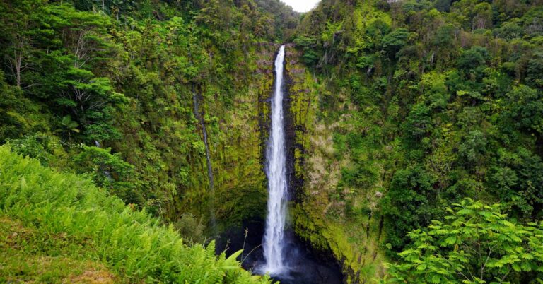 Akaka Falls cascading through lush green cliffs on the Big Island, Hawaii