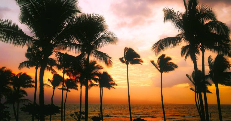 1 Day Maui Itinerary