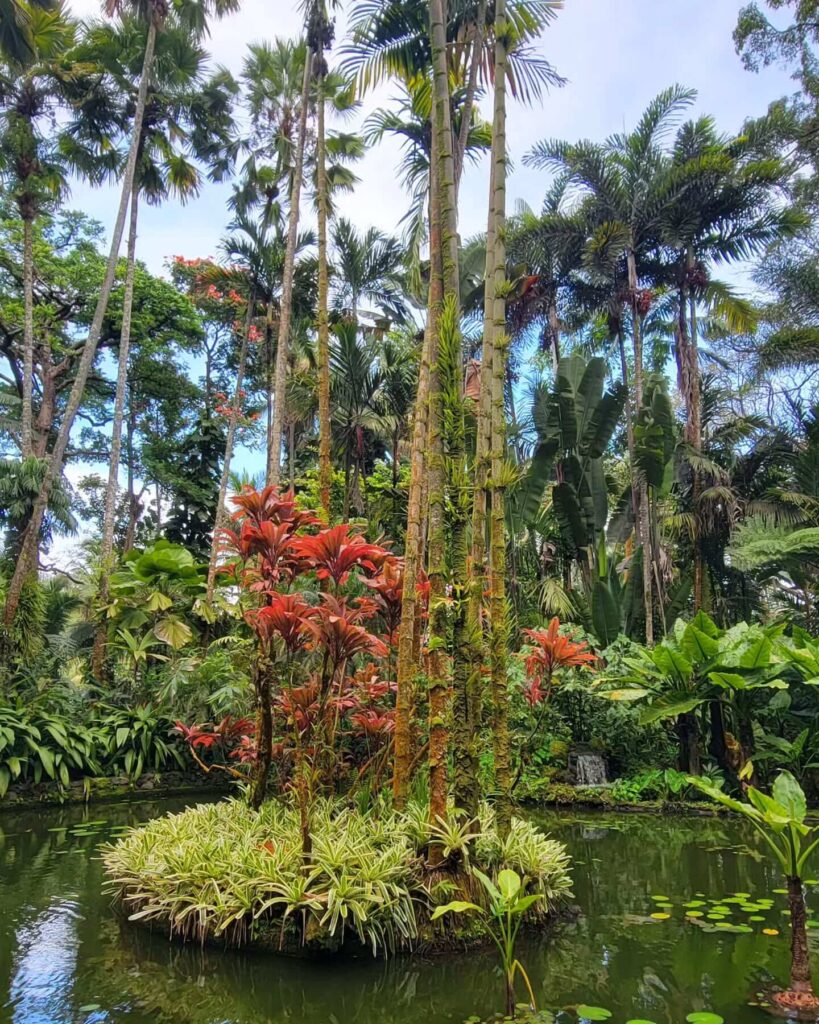 Hawaiʻi Tropical Bioreserve & Garden