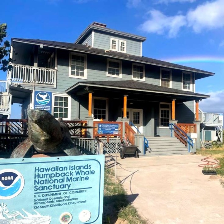 awaiian Islands Humpback Whale Sanctuary