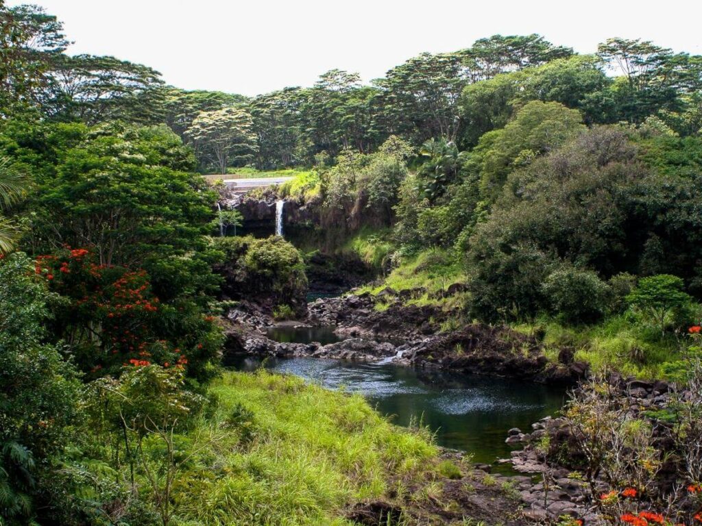 Scenic view of Rainbow Falls surrounded by rainforest at Wailuku River State Park