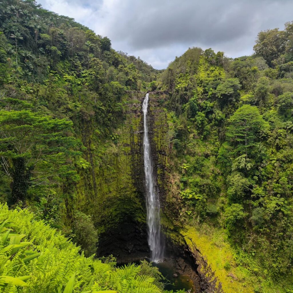 Tall tropical waterfall surrounded by rainforest at Akaka Falls State Park