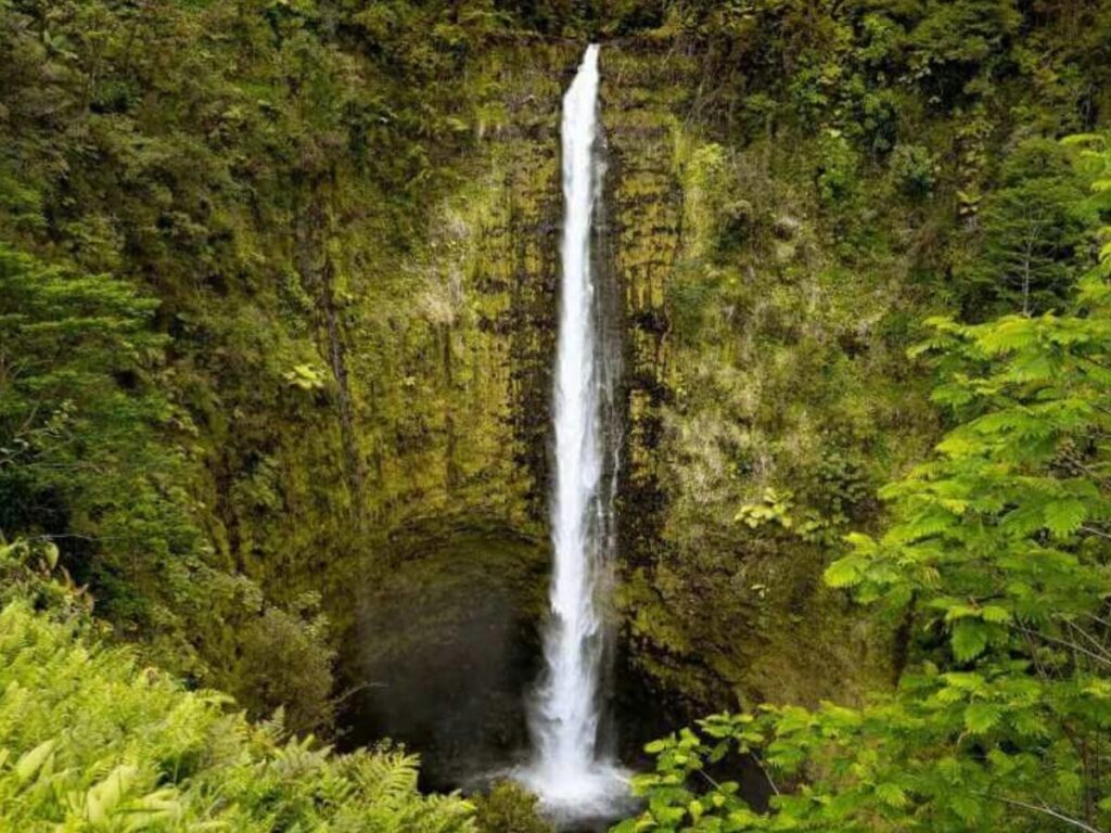 Akaka Falls cascading into a rainforest gorge on the Big Island