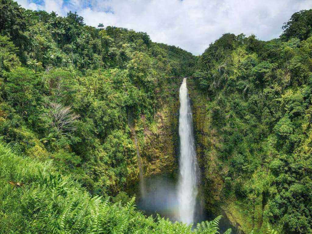 Akaka Falls cascading through tropical rainforest on the Big Island