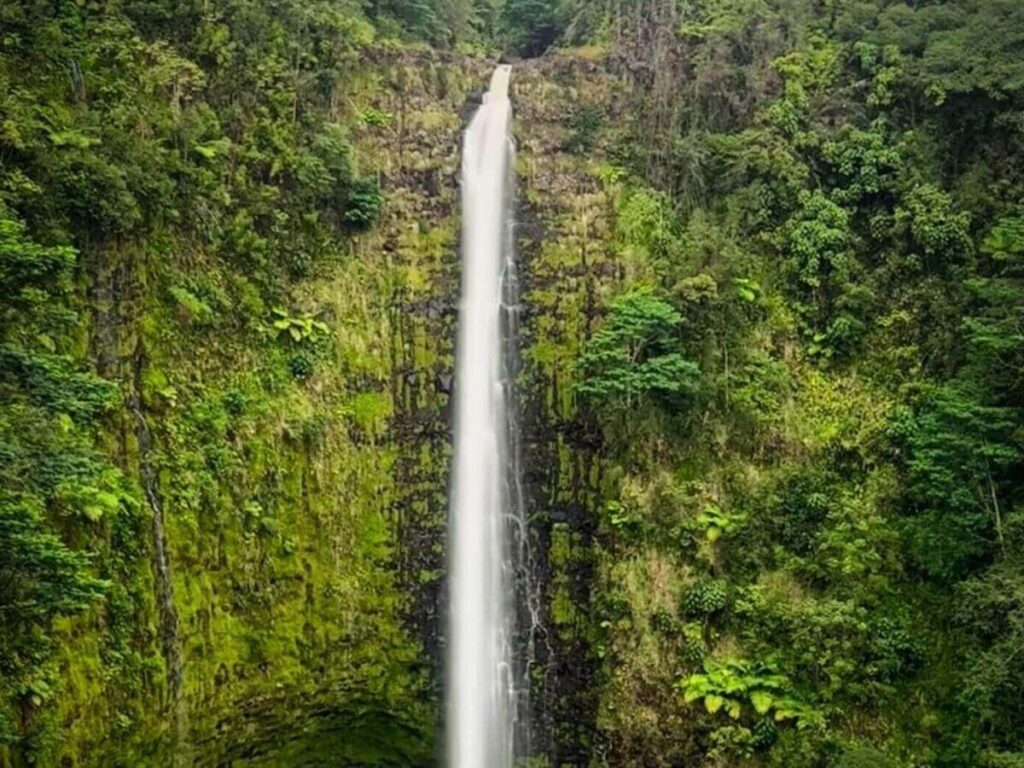 Akaka Falls surrounded by lush rainforest on the Big Island