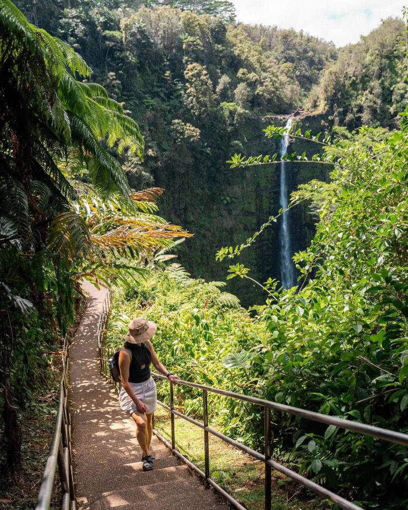 Paved loop trail through dense rainforest and bamboo groves at Akaka Falls