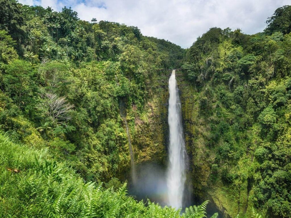 Akaka Falls cascading through tropical rainforest on the Big Island