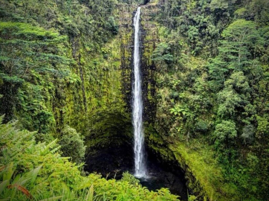 Akaka Falls waterfall surrounded by tropical rainforest on the Big Island of Hawaii