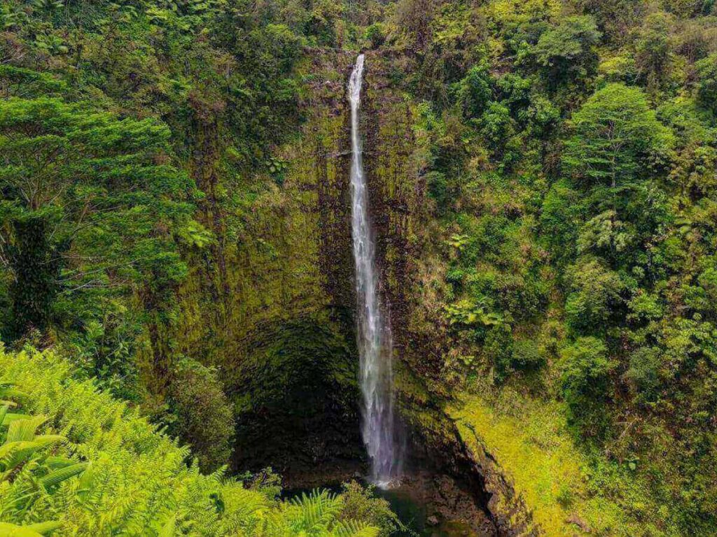 Akaka Falls waterfall in lush rainforest near Hilo Hawaii