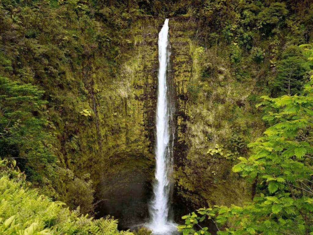 Akaka Falls waterfall surrounded by rainforest near Hilo Hawaii