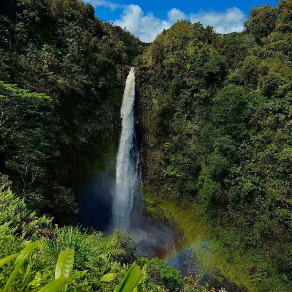 Akaka Falls waterfall surrounded by rainforest on the Big Island of Hawaii