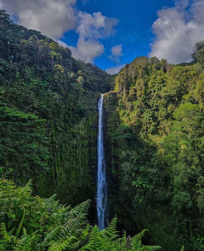 Akaka Falls cascading through tropical rainforest on the Big Island
