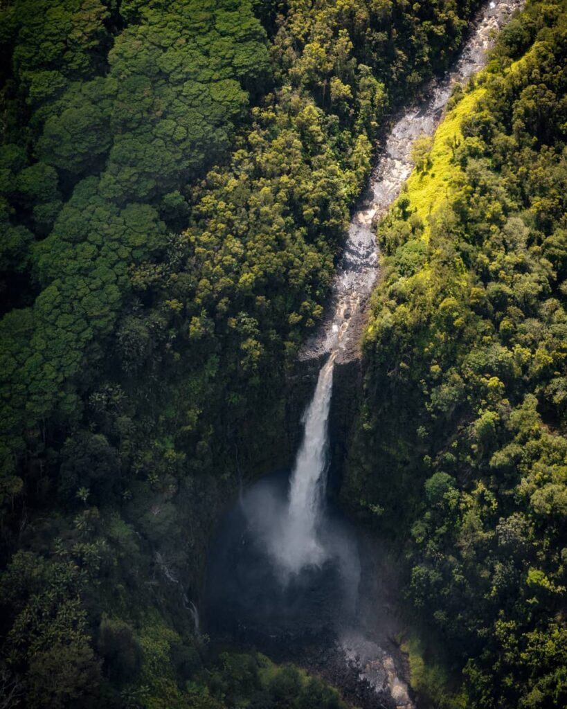 Akaka Falls Wide aerial shot