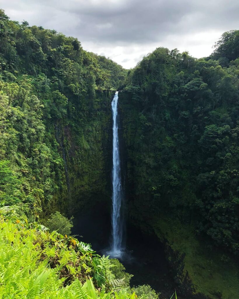 Akaka Falls Wide angle shot