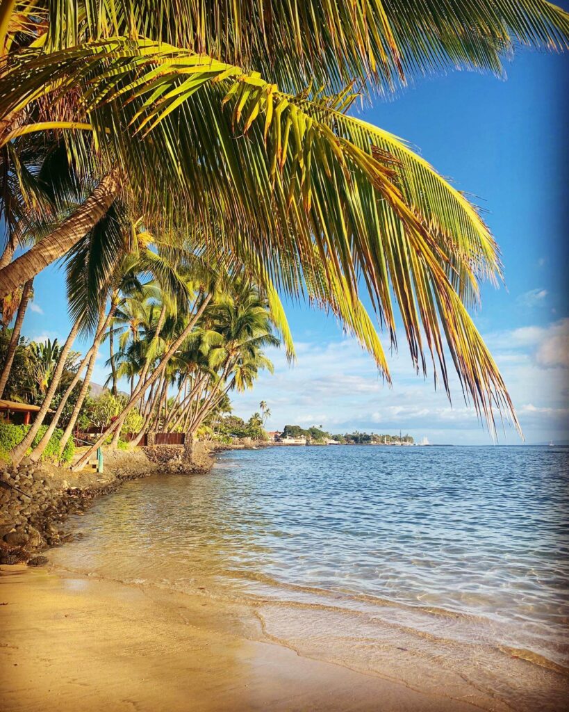 Baby Beach Lahaina