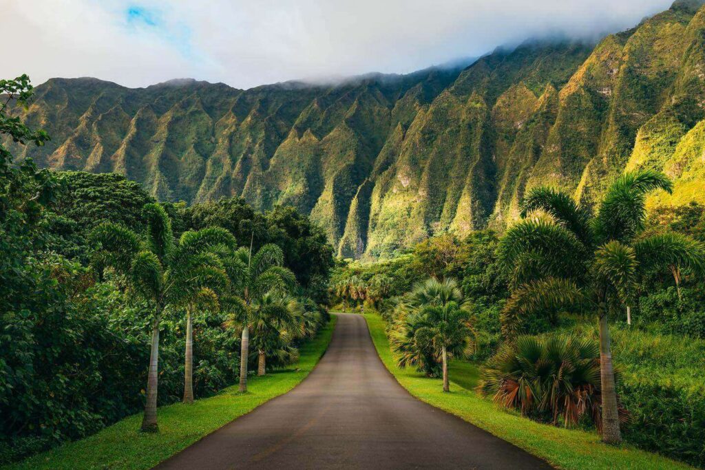 Driving along coastal highway on the Big Island of Hawaii
