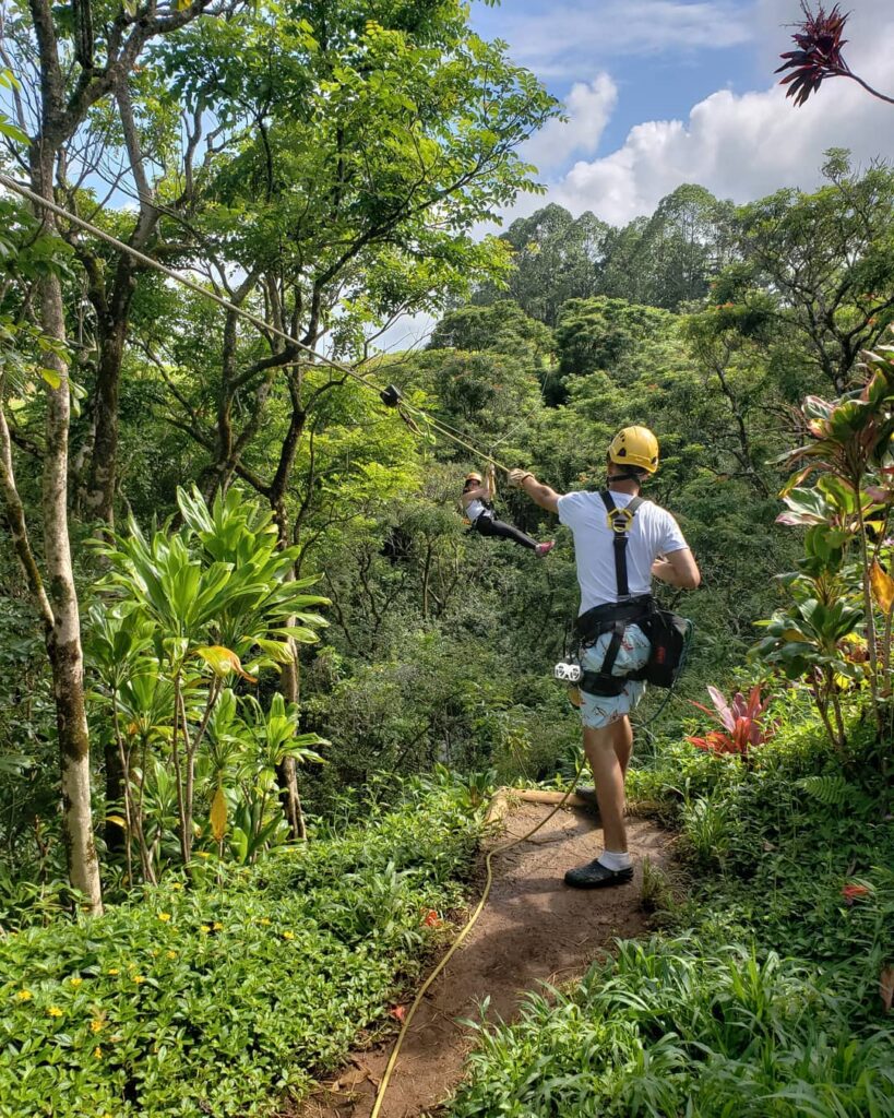 Botanical World Adventures Zipline