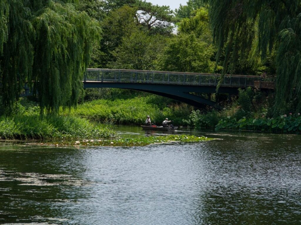 Walking path beside a lake at the Chicago Botanic Garden