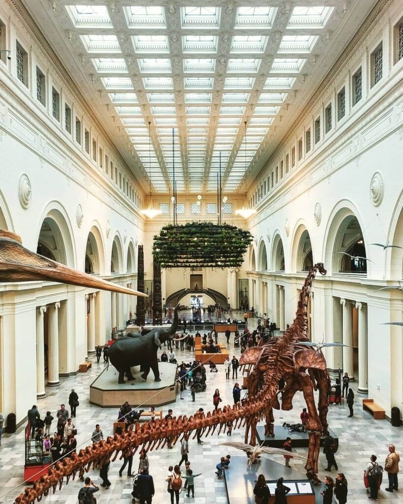 Sue the T-Rex on display at the Field Museum in Chicago