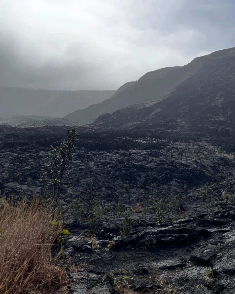 View of Kīlauea caldera from Crater Rim Trail in Hawaiʻi Volcanoes National Park