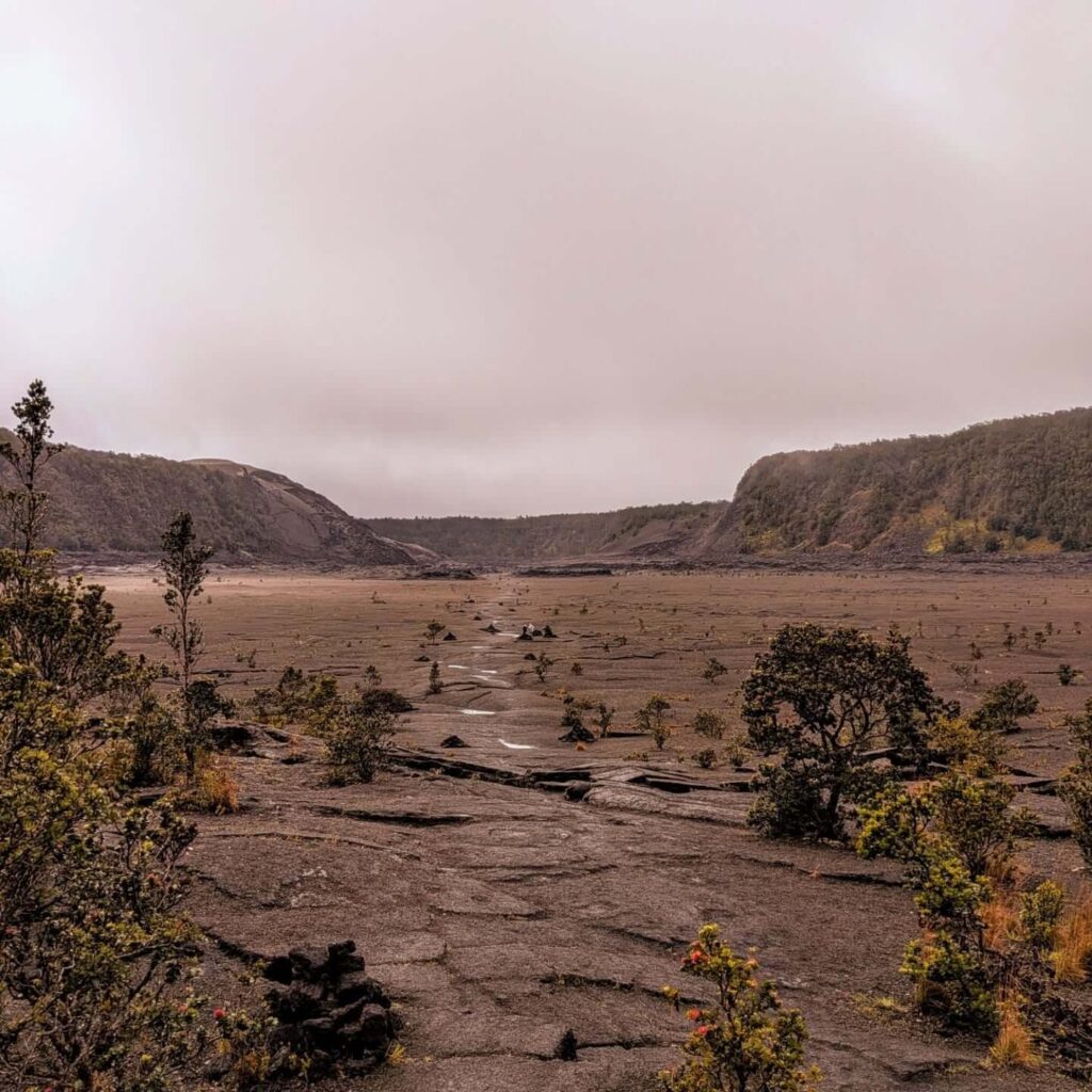 Devastation Trail lava field landscape in Hawaiʻi Volcanoes National Park
