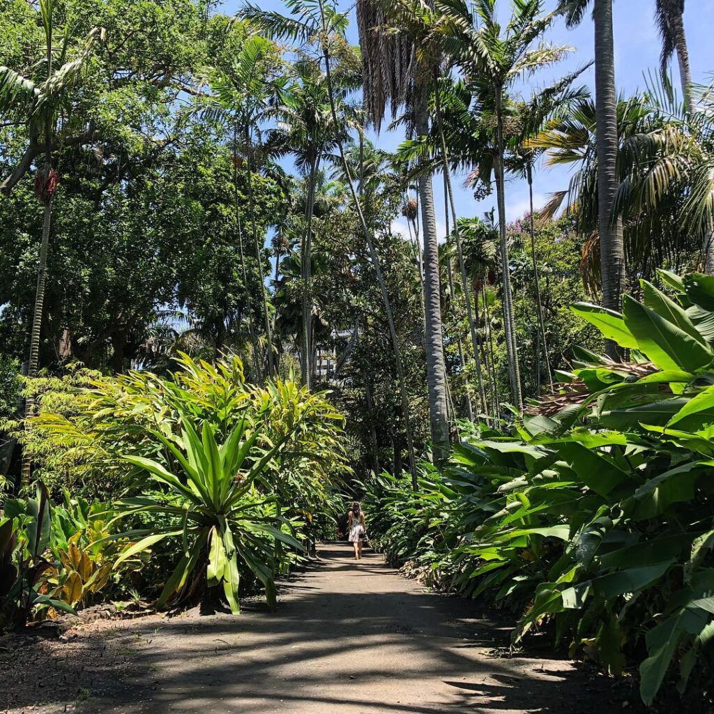 Foster Botanical Garde