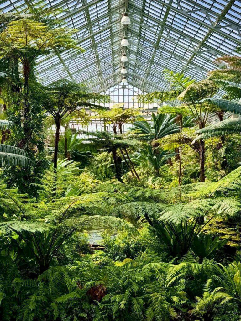 Palm House filled with tropical plants at Garfield Park Conservatory