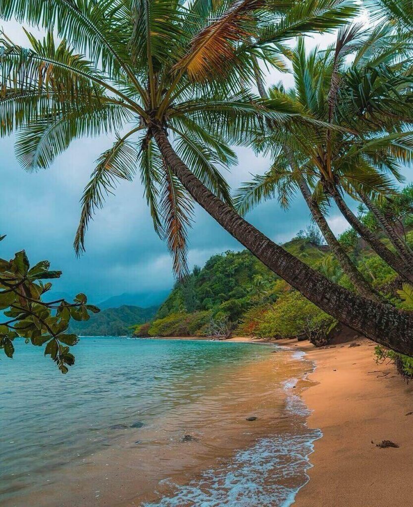 Hanalei Bay with golden sand and lush green mountains on Kauai