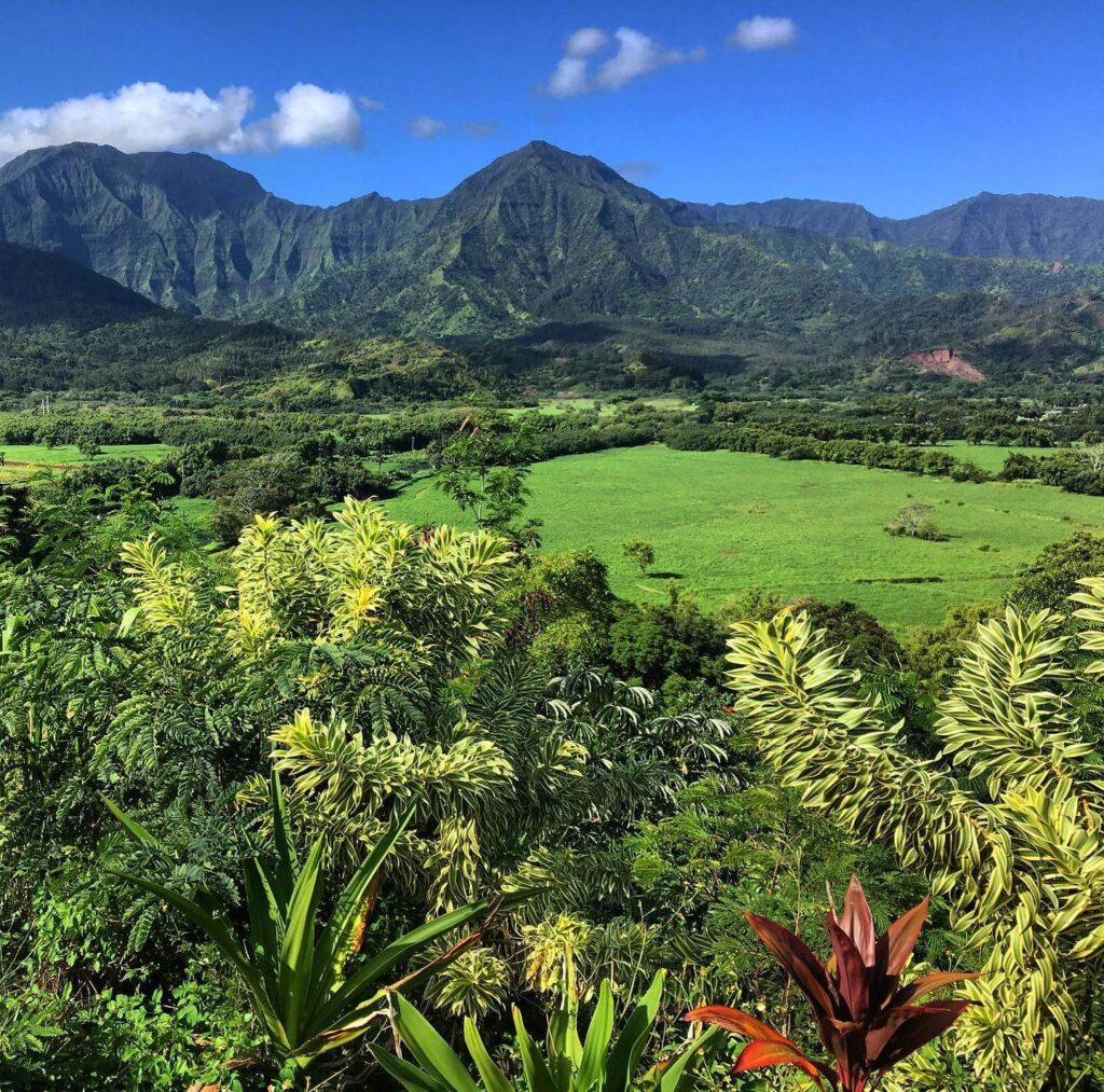 Hanalei Valley Lookout