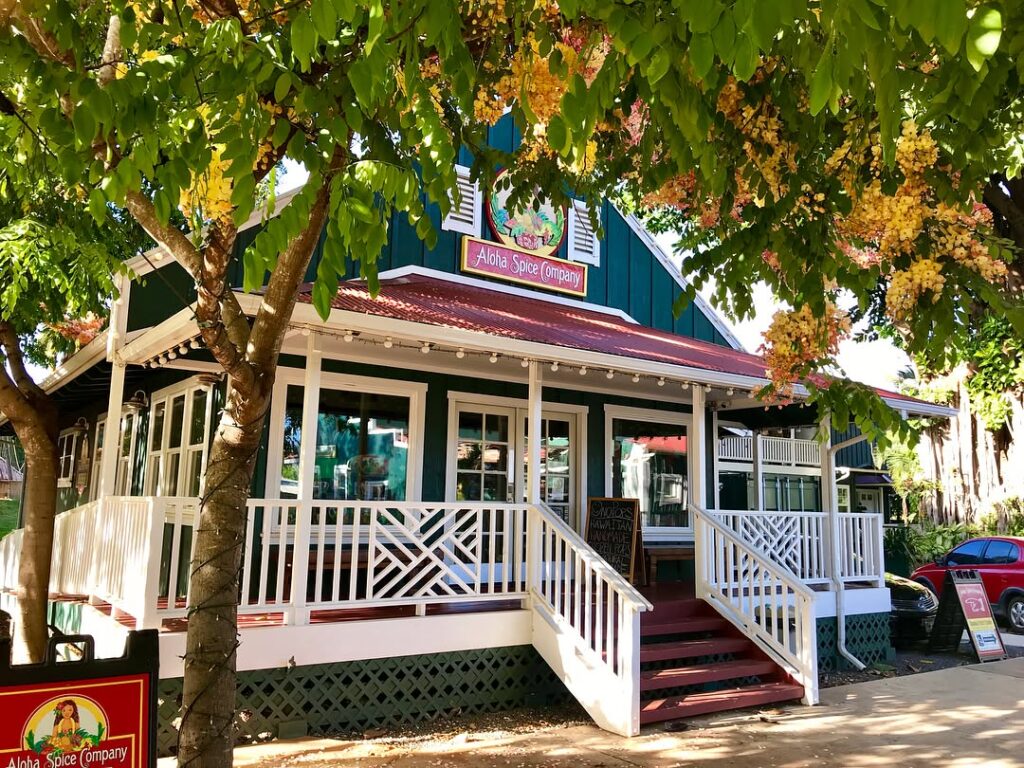 houses in hanapepe, kauai