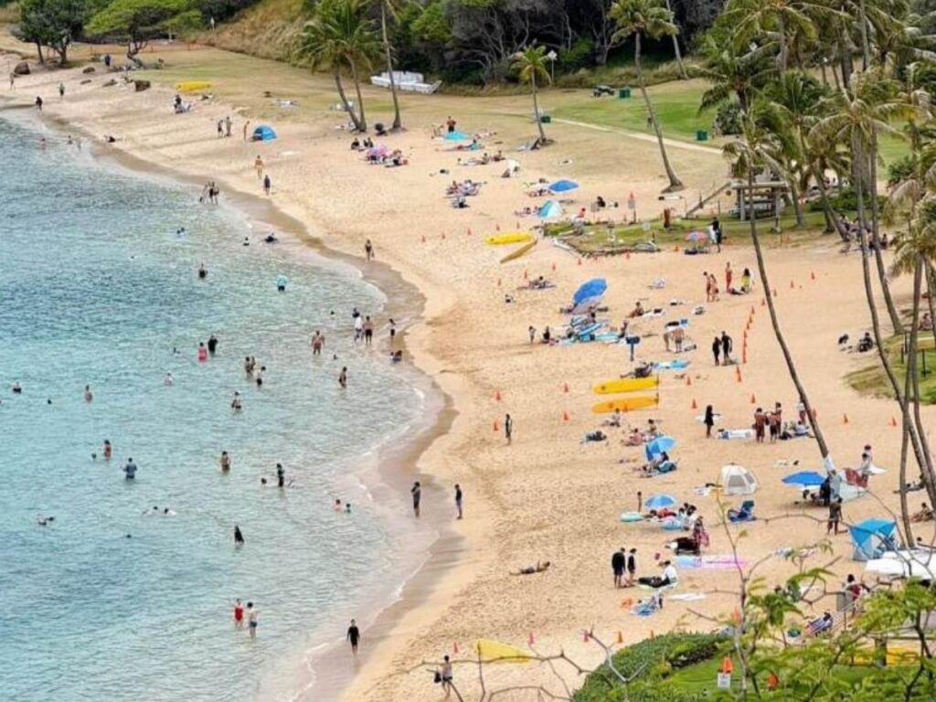 Snorkeling in clear water at Hanauma Bay on Oahu