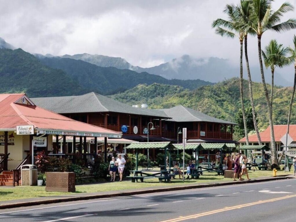 Farmers market in a small Hawaiian town with local vendors