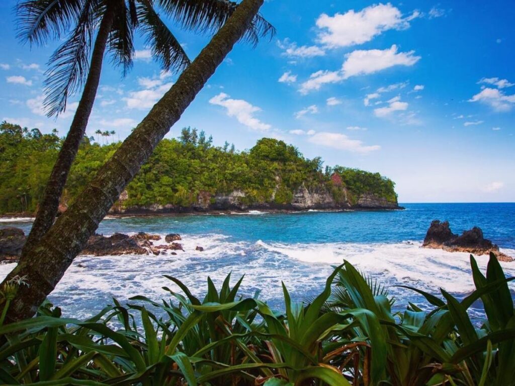 Ocean view from Hawaiʻi Tropical Botanical Garden near Hilo