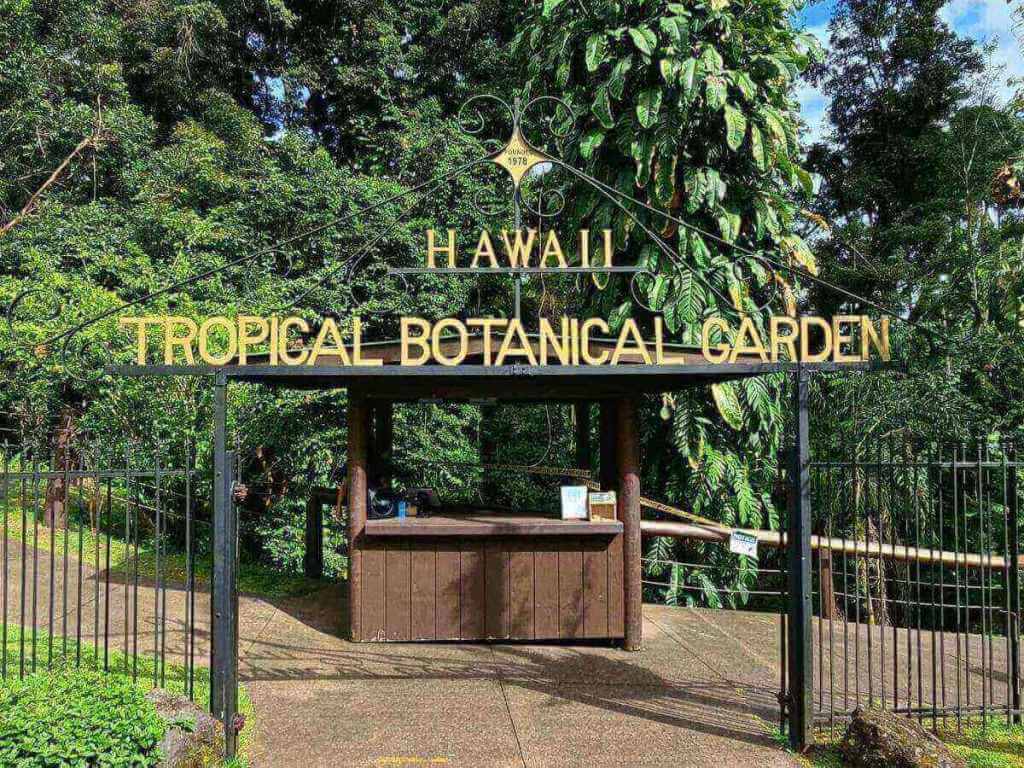 Ocean view from Hawaiʻi Tropical Botanical Garden near Hilo