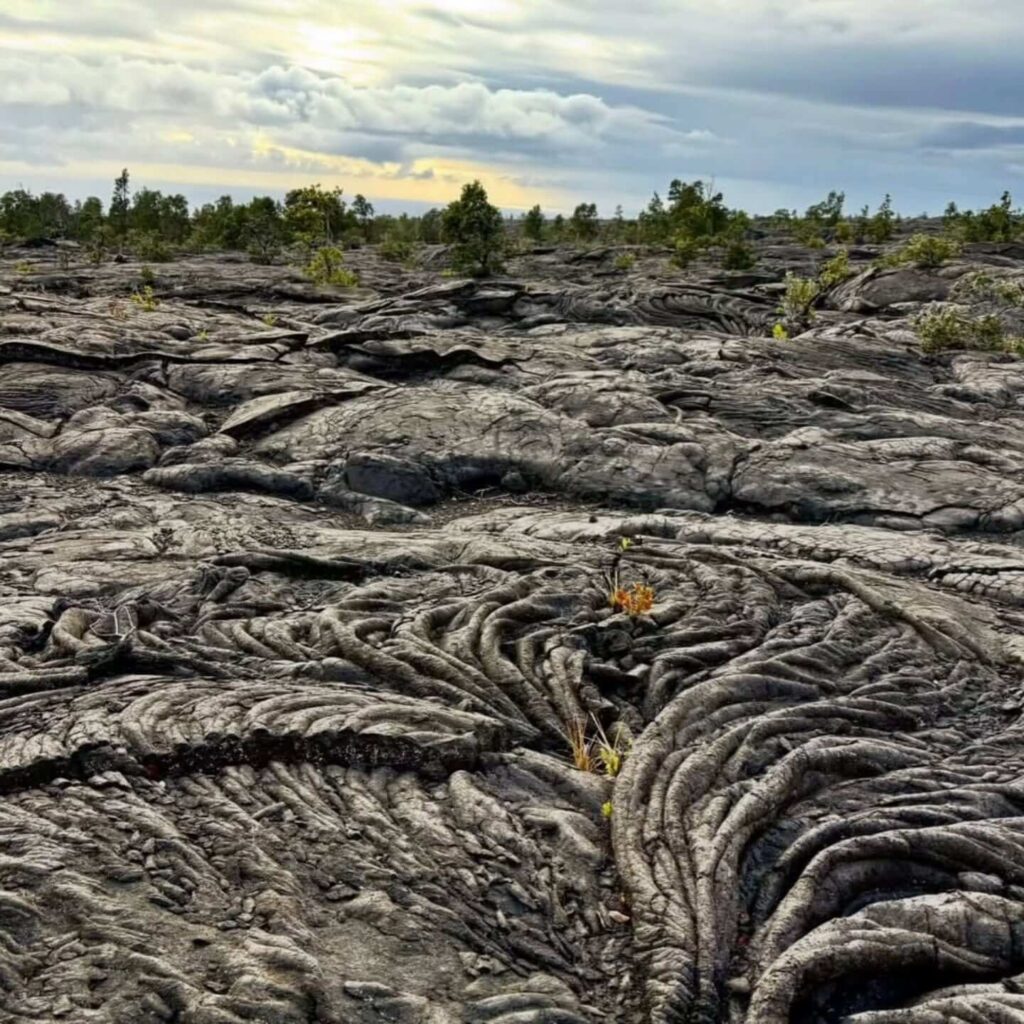 Hardened lava field landscape in Hawaiʻi Volcanoes National Park on the Big Island