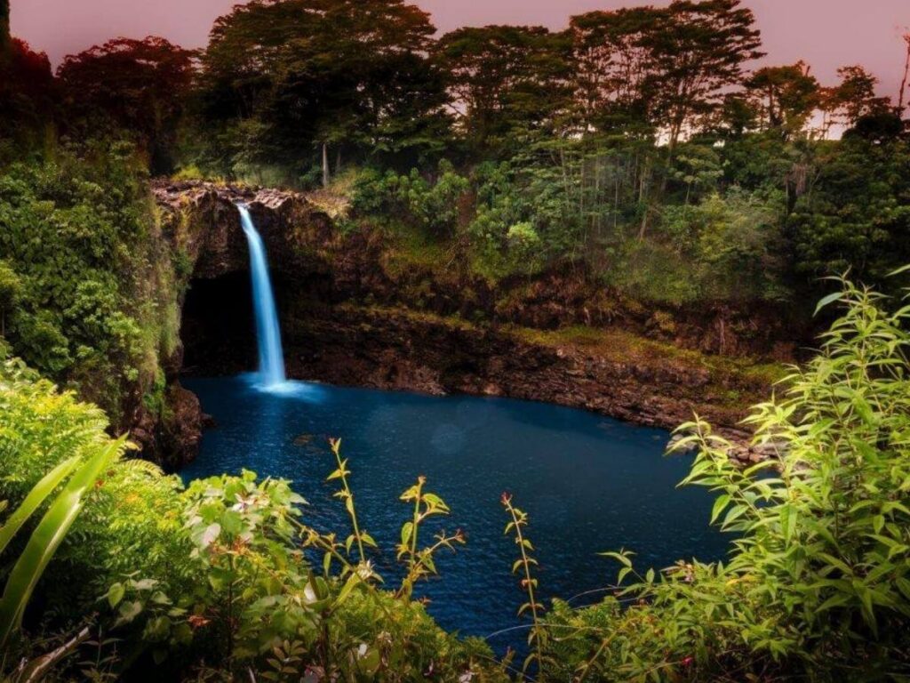Lush rainforest landscape near Hilo on the Big Island of Hawaii