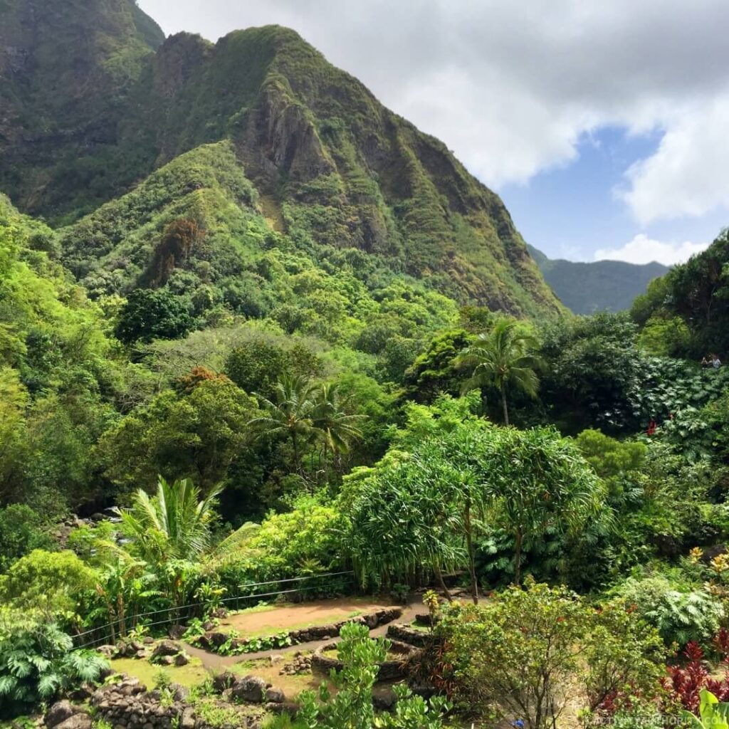 ʻĪao Stream winding through the rainforest garden path at ʻĪao Valley